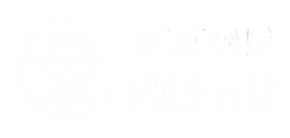 PZero Mentoria